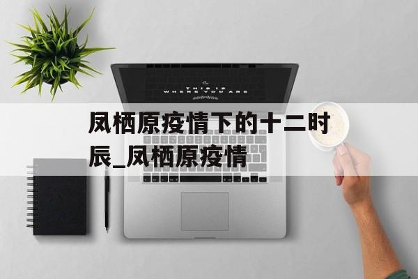凤栖原疫情下的十二时辰_凤栖原疫情